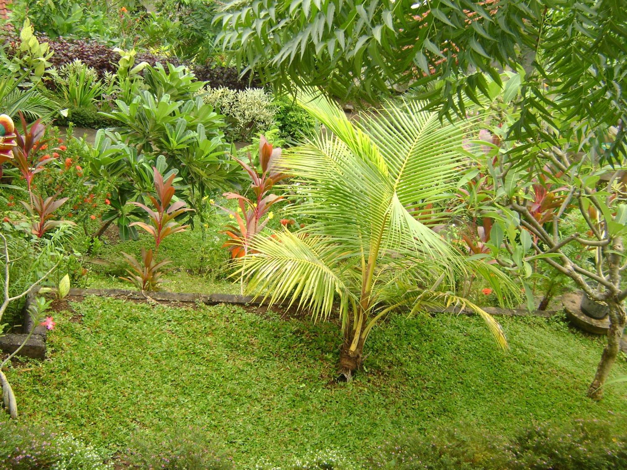 Sinar Bali 2 Amed Exterior foto